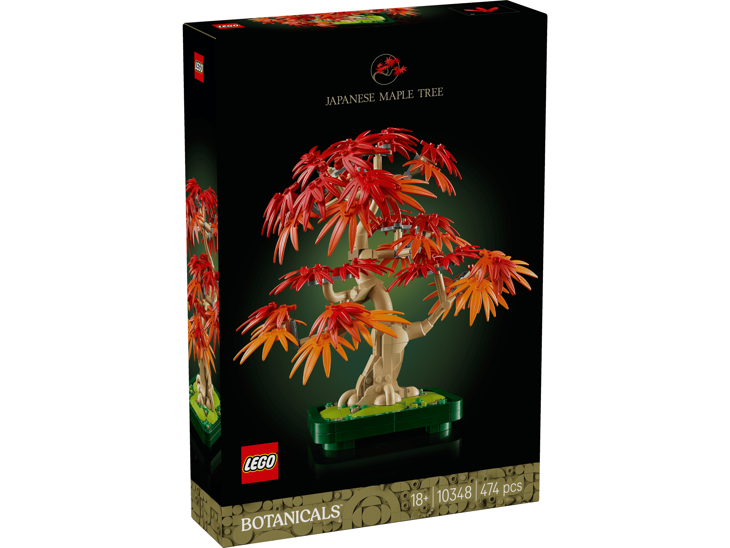 Bonsaiträd japansk lönn 10348