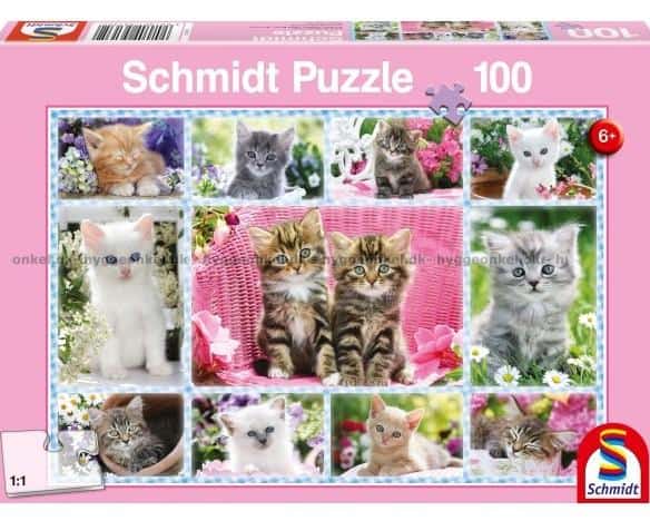 Pussel Schmidt 100Bit Kittens