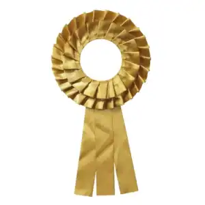 Käpphäst Rosett I Guld Stor M Ram